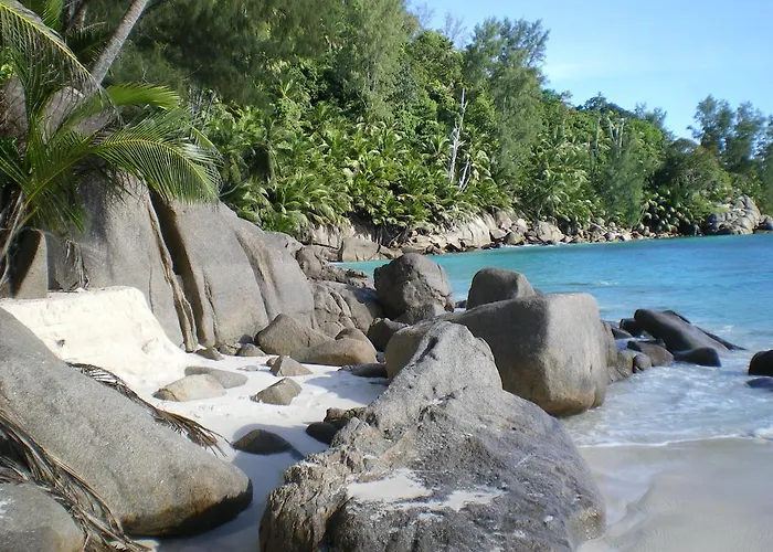 Seychelles Yellow Petals Apartment Anse Boileau