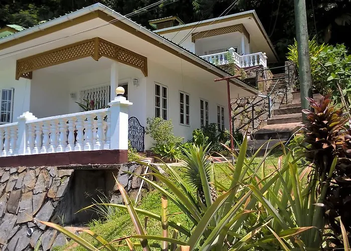Apartment Seychelles Yellow Petals